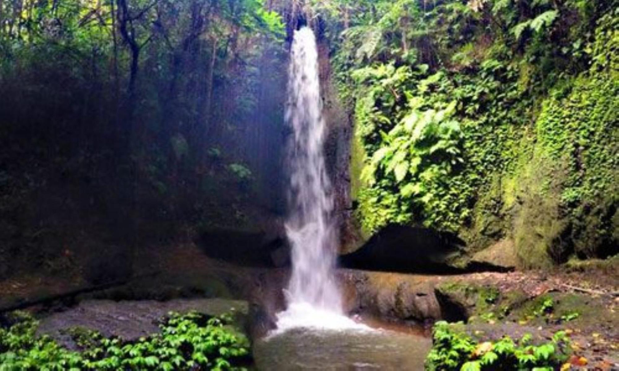 Aksari Luxury Resort & Spa Ubud By Ini Vie Hospitality Tegallalang  Luaran gambar
